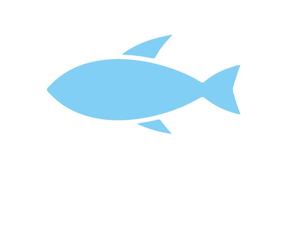 Tiny Fish - Marketing & Branding